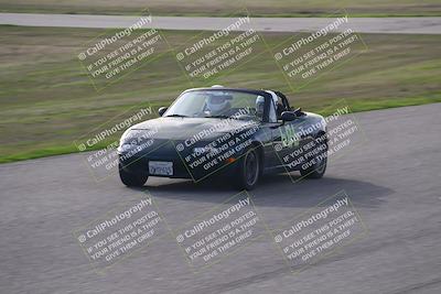 media/Dec-21-2024-Speed Ventures (Sat) [[f5cf5023d6]]/Purple/Front Straight/